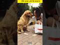 টমি আজ এটা কি করলো 😳 #shorts #doglover