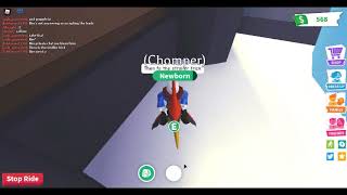 How to get INSIDE the adopt me Ice Castle in roblox!
