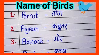 Name of 10 birds / 10 birds name in English and Hindi / चिड़ियों के नाम | study Hint 
