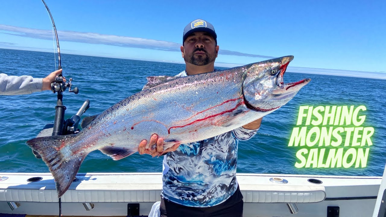 Huge Salmon Caught at Moss Landing! YouTube