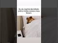 Levantar nesse frio em kkk #shorts #humor #memes