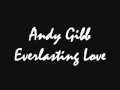 Andy Gibb - Everlasting Love