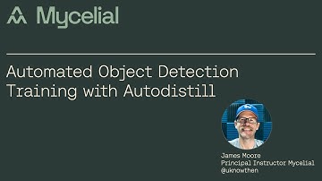 Automated Object Detection Training with Autodistill