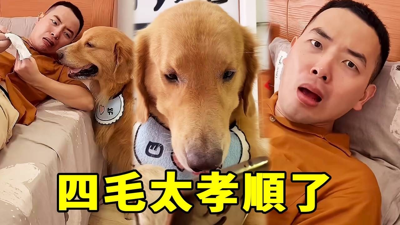 四毛孝順名場面：生病不重要，飯不能浪費！【起错名的四毛】