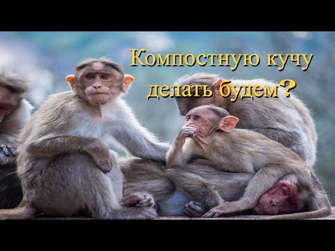 КОМПОСТ - это мартышкин труд. КПД близкий к 0