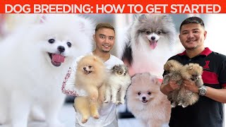 Dog Breeding: Everything You Need To Know | BEGINNER'S GUIDE