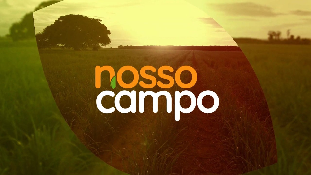 Nosso Campo - 01.03.2026