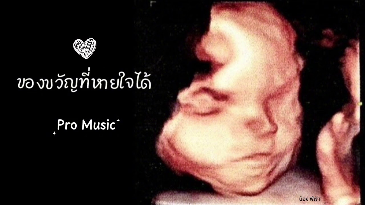 ของขวัญที่หายใจได้ - Pro Music 