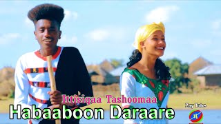 Ittisiqaa Tashoomaa - Habaaboon Daraare - Ethiopian Culture - Oromo Music -