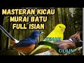 Masteran Murai Batu Super Lengkap – Variasi Isian Cililin, Kenari, dan Kapas Tembak