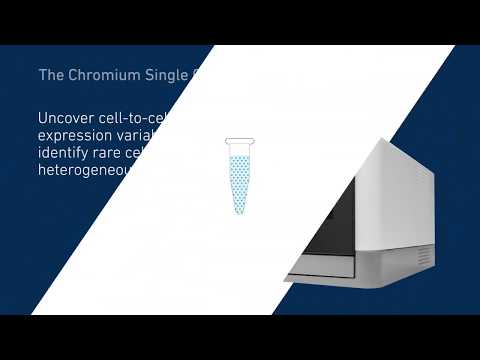 Single Cell RNA-Seq con 10x Genomics - video from Bonsai Lab