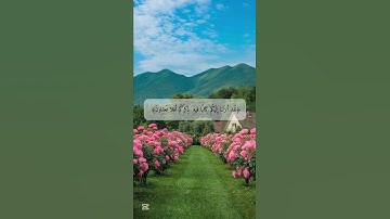 تلاوة الوليد الشمسان، سورة الأنبياء