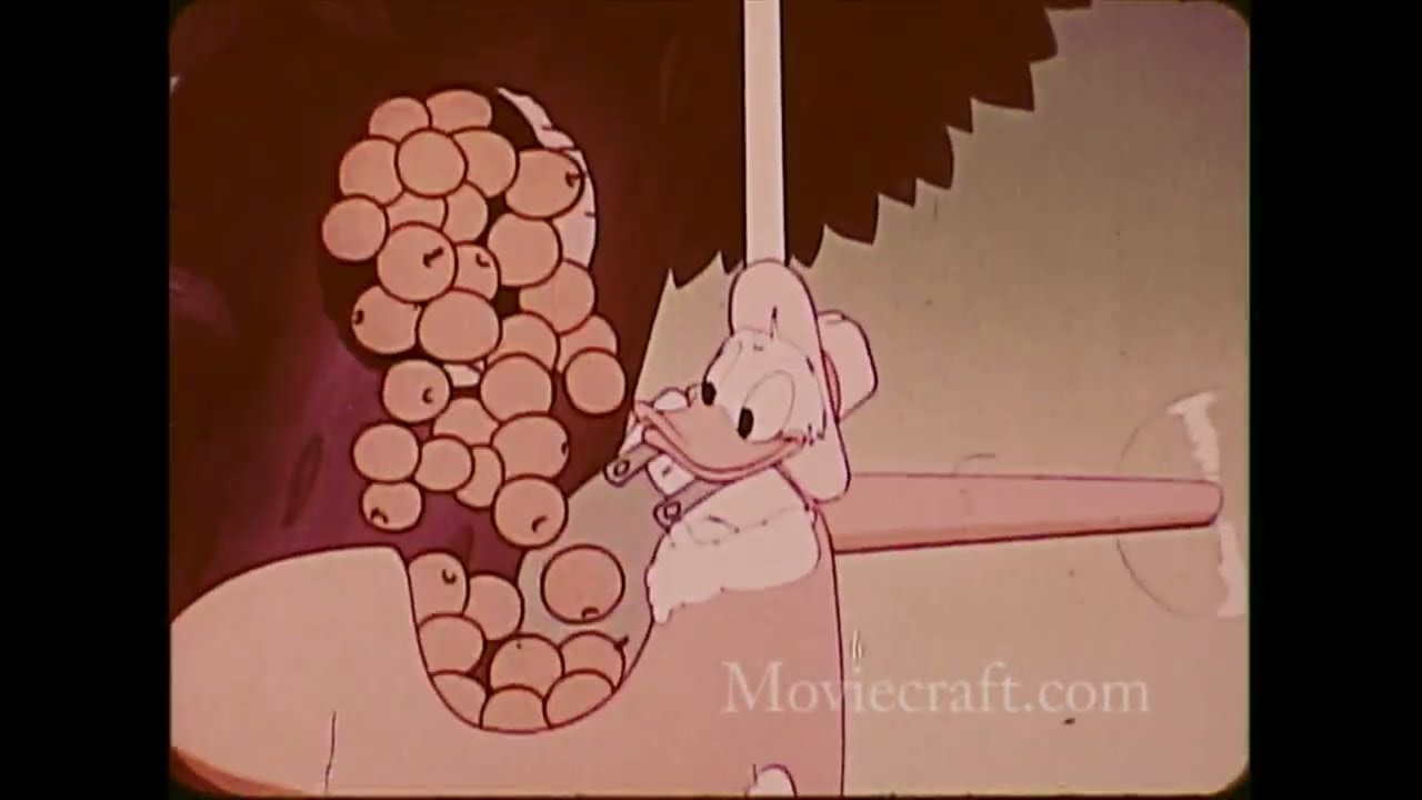 Citrus World presents Donald Duck Citrus Products 1965