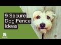 9 Dog Fence Ideas for Your Pups