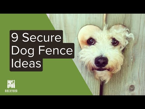 Video: Gjerde ideer for hundeeiere