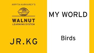 JR.KG - My World - 13E - Birds screenshot 2