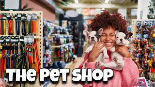 The Pet Shop | The Biggest Pet Shop in Dubai | Play Area | Dog Cat Bird Fish