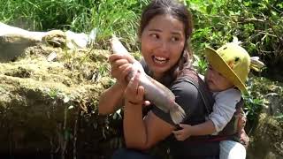 Information ENCOUNTER A HUGE SCHOOL OF FISH - CATCH FISH AND TRAP FISH TO SELL - BUY CLOTHES -  Guide