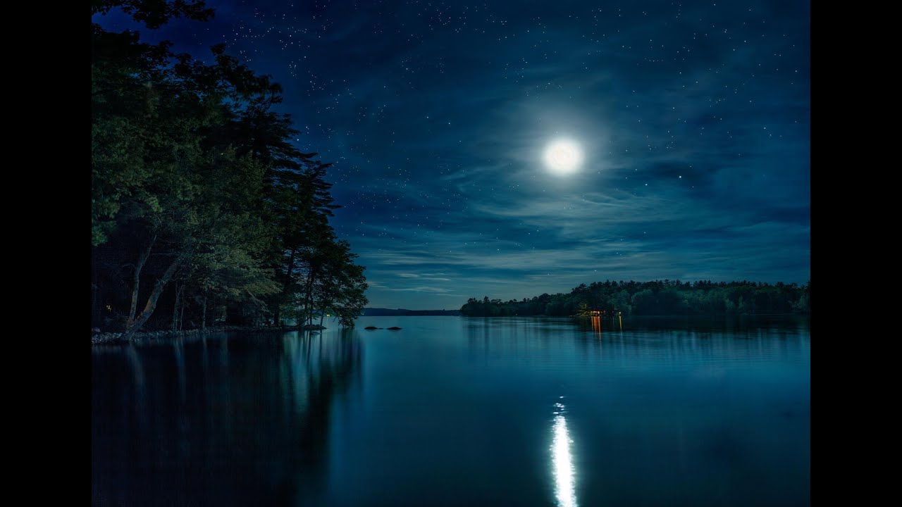 12 Hours of Koto & Bonfire Magic : Relaxing Beach Ambience for Sleep and Meditation ✨🌊