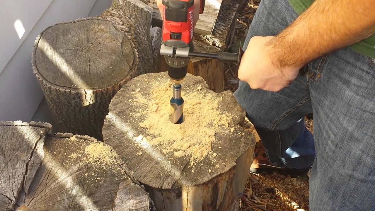 1.5" Tree Stump Holler - YouTube