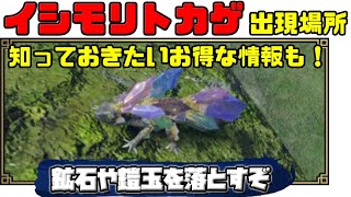 【モンハンライズ】イシモリトカゲの出現場所やルートを解説!知らなきゃ損な小技も伝授!カメラの撮影方法も!初心者の味方【マップは大社跡】【モンスターハンターライズ MHRise】