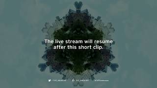 Famous MASTER CLASS | Ewan McGregor | TIFF 2016 Profile