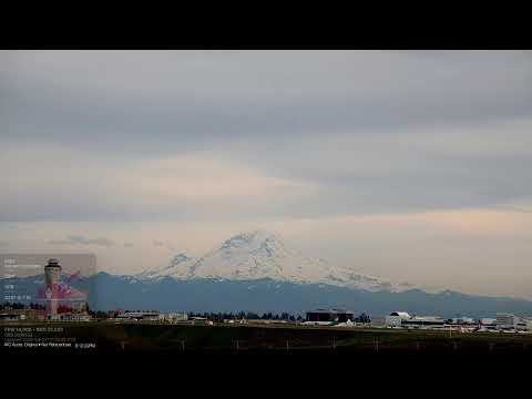 🔴 LIVE Seattle SeaTac Airport | Plane Spotting | 4K PTZ Camera Tours | Mount Rainier