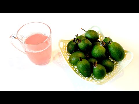 Концентрированный компот из фейхоа