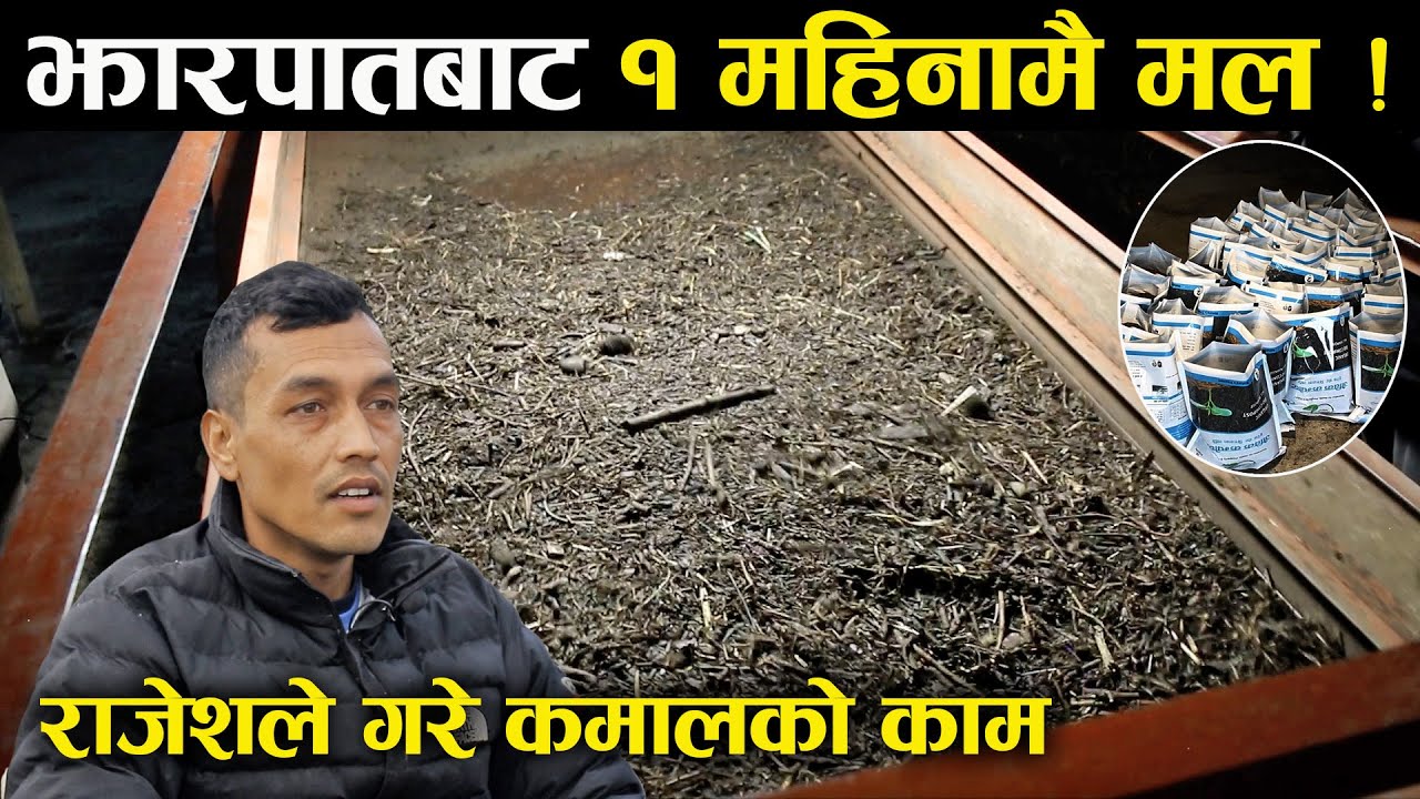 झारपातबाट १ महिनामै मल तयार गरेर बेच्दै राजेस के.सि