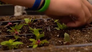 Experts in the Ozarks say start planting your seeds now