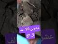 ولفحم من اشتعال نظيف خال من روائح الحطب يدير 20 الف للكيلو فحم شواء خرجة منتجات الجزائر 