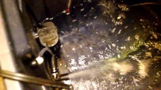 Grow room and how I get fresh water