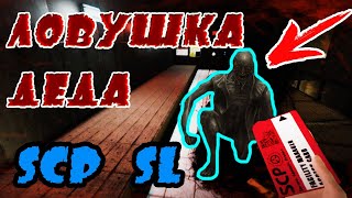 ЛОВУШКА ДЕДА | SCP: SL Смешные моменты