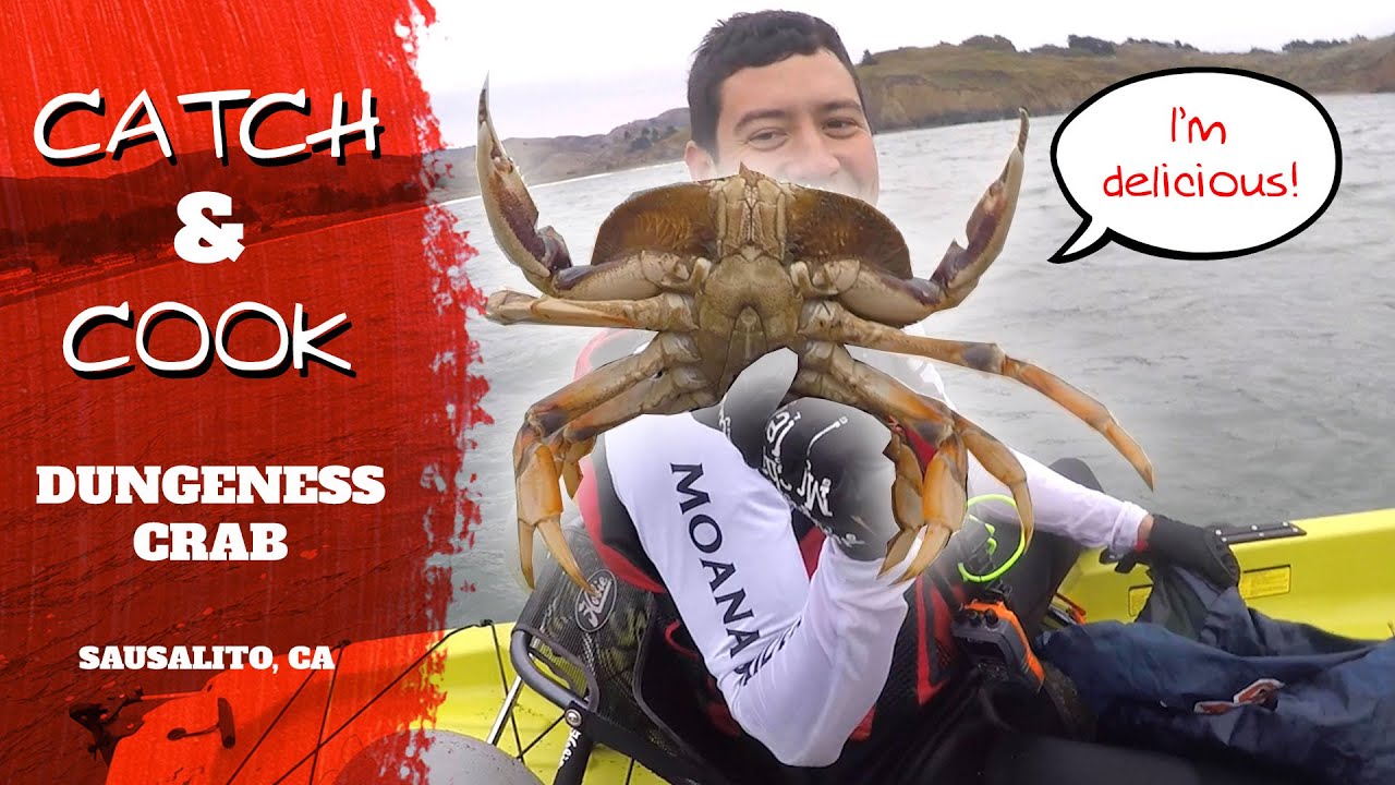 Dungeness Crabbing In Northern California [Catch & Cook!]