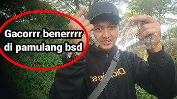 Busettttt dehh rejeki nomplokk