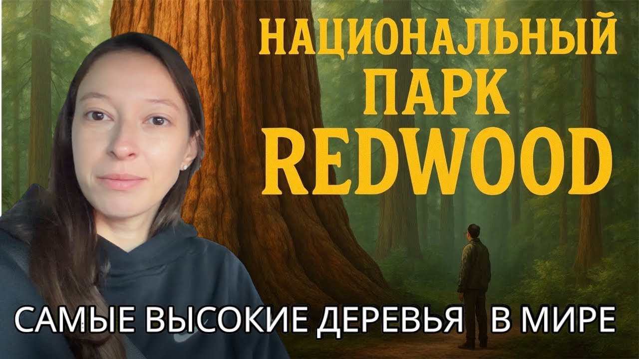 Путешествие в Redwood National Park | Гигантские Секвойи