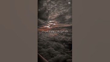 {قرآن كريم سورة الشعراء القارئ ياسر الدوسري}
