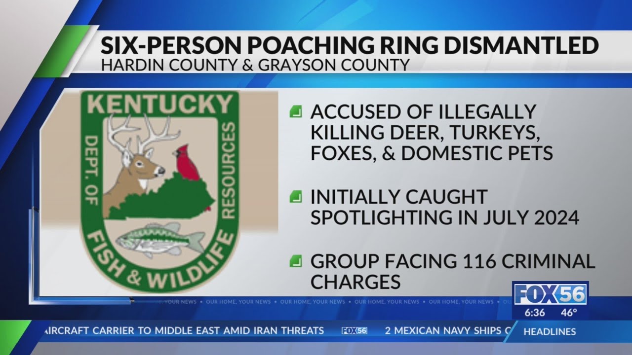 6 charged following year-long poaching investigation across Grayson, Hardin counties