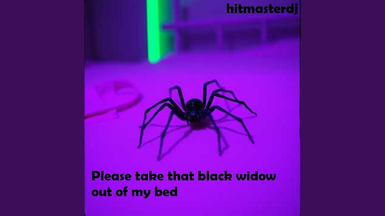 Please Take That Black Widow out of My Bed