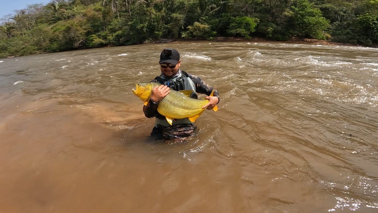 Pescaria Rio Taquari DOURADO GIGANTE