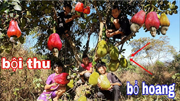 Sang Vlog | Thử Thách Thu Hoạch Trái Cây Ở Khu Vườn BỎ HOANG và Kết Quả Bất Ngờ