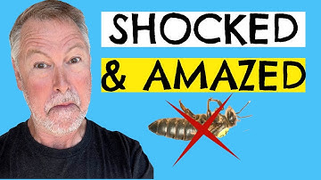 Bijenhoudfouten die imkers maken met hun koninginnen