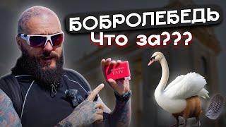 Новый формат “Поясни за ТАТУ”! / Сумасшедшие ИДЕИ для ТАТУИРОВОК