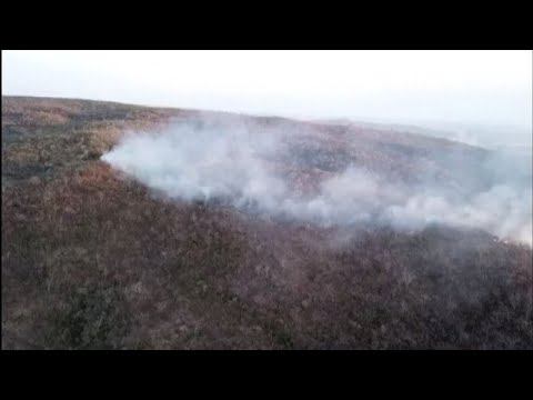 Video: Aerei Brasiliani Che Scaricano Acqua Sugli Incendi Dell'Amazzonia