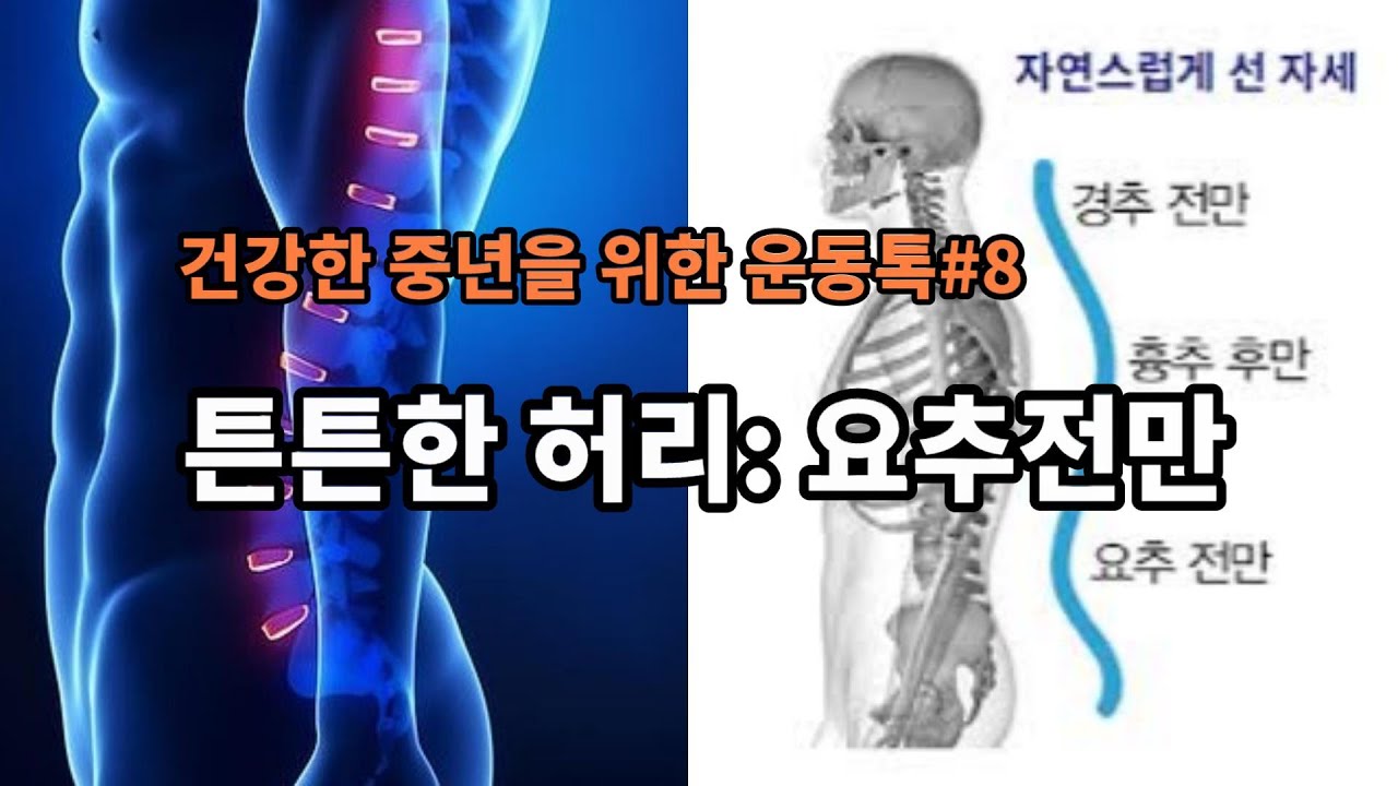 건강한 중년을 위한 운동톡#8 튼튼한 허리: 요추전만 - YouTube
