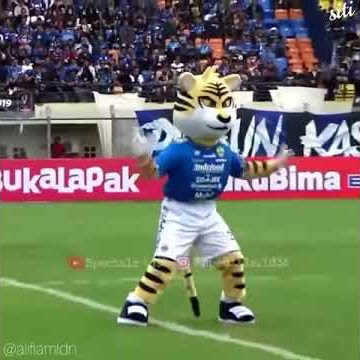 Setatus wa bobotoh persib terbaru 2019