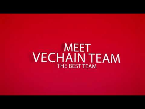 VECHAIN ECONOMICS PROBLEM SOLUTION