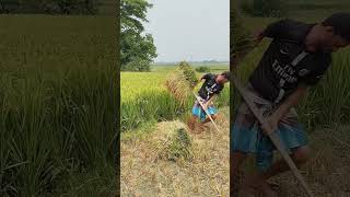 কি করে। #viral #funny #trending #bangla #youtubeshorts #trendingshorts #video #youtube