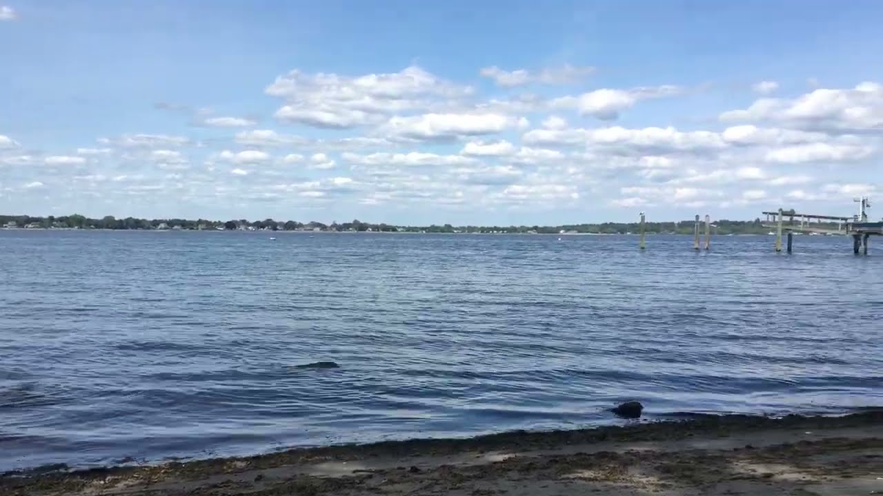 Goddard Park, RI, May 2022