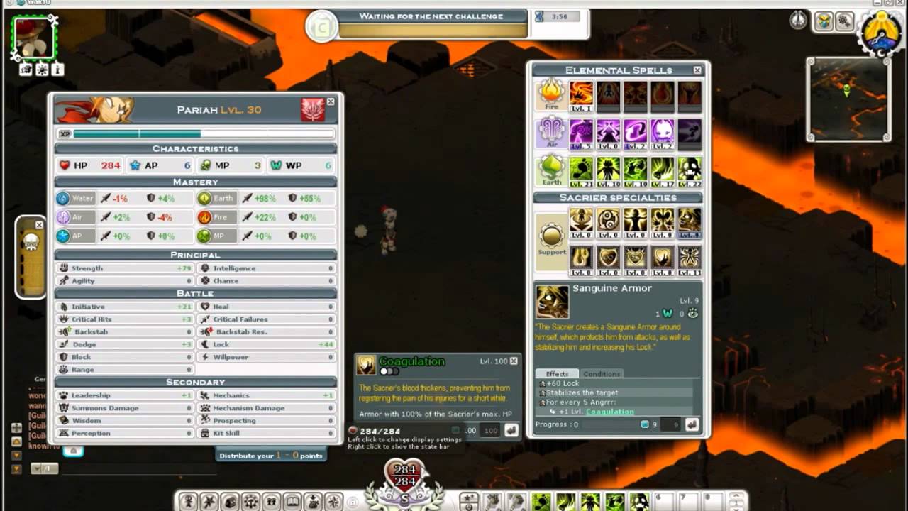 Wakfu- Sacrier Guide